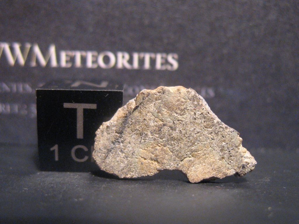 Martian Meteorite NWA 7397 1.jpg