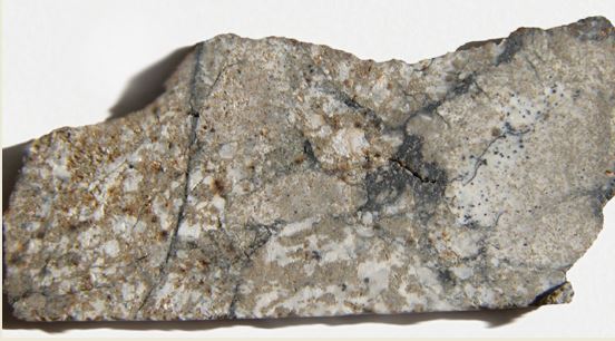 44991_7527_137.jpg