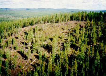 tunguska2.jpg