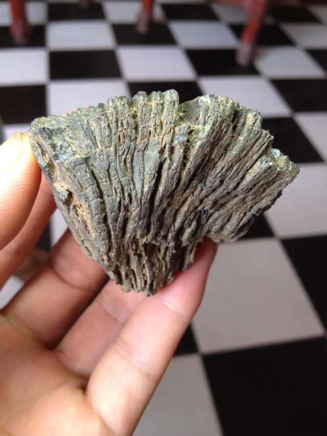太湖的熔融碳化木
