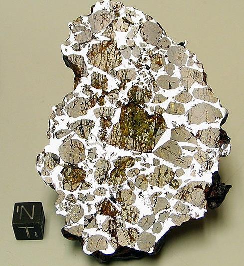 CMS 04071-Pallasite.jpg