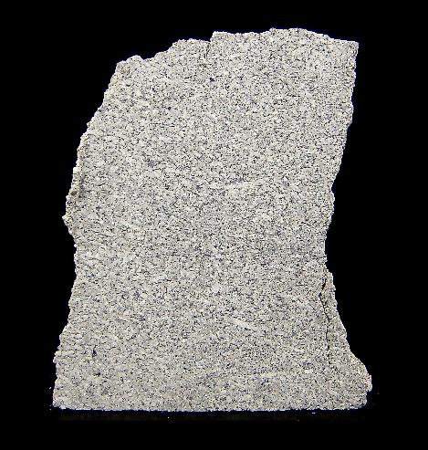 Zagami-Martian (shergottite).jpg