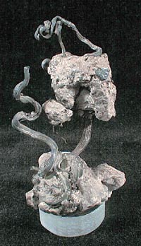 55257c1.jpg
