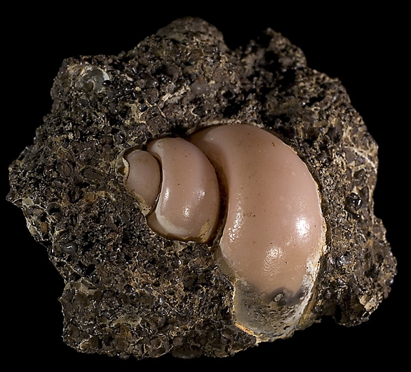 3_1722_3_rhodochrosite.jpg