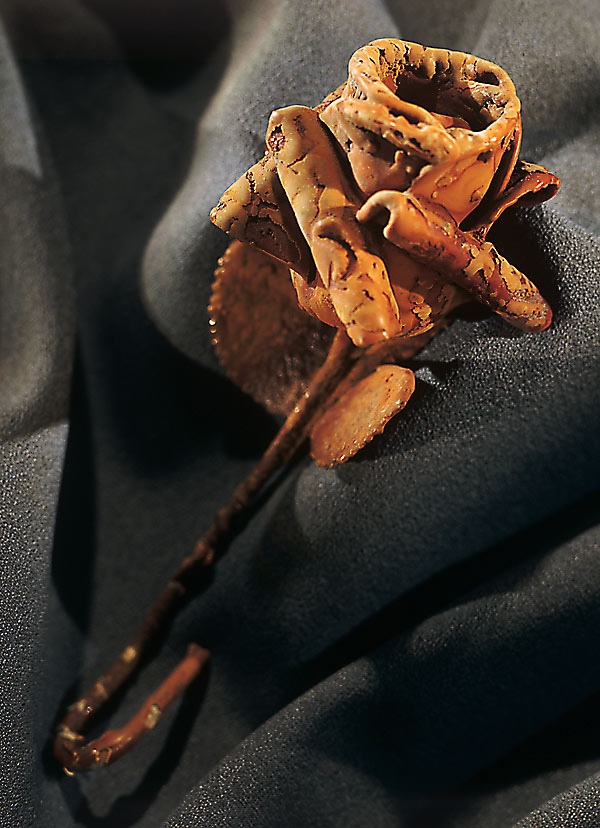 3_1790_aragonite.jpg