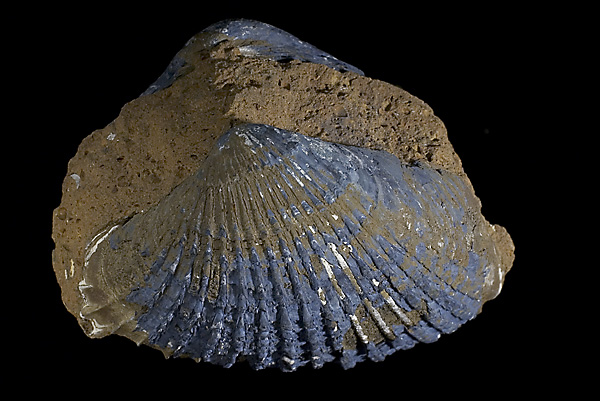 3_2148_1_vivianite.jpg