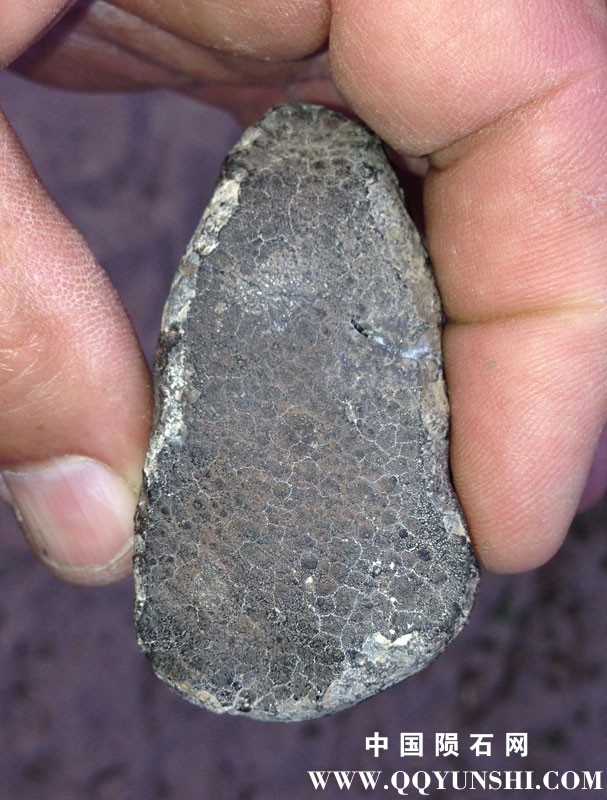 allende75g ,000.jpg