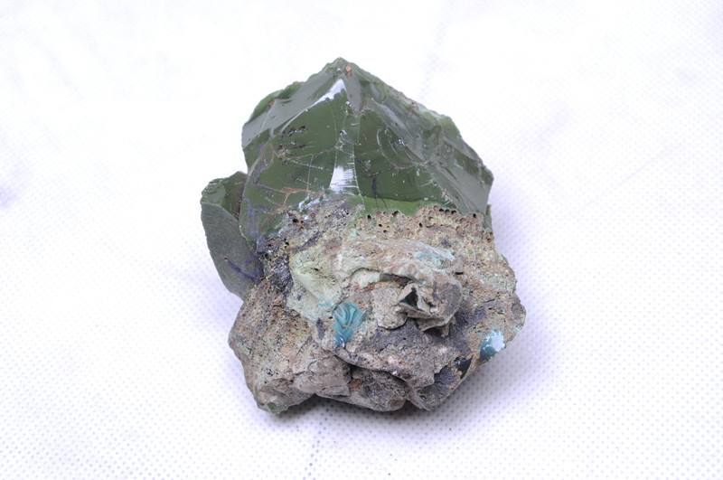DSC_0576_副本.jpg