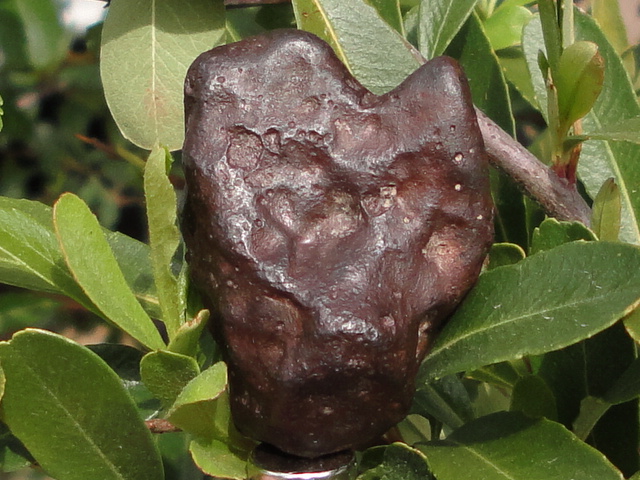 45974_29383_3249.jpg