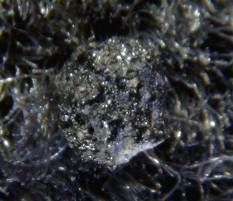 tissintmini01.jpg
