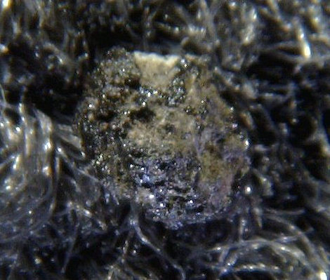 tissintmini03.jpg