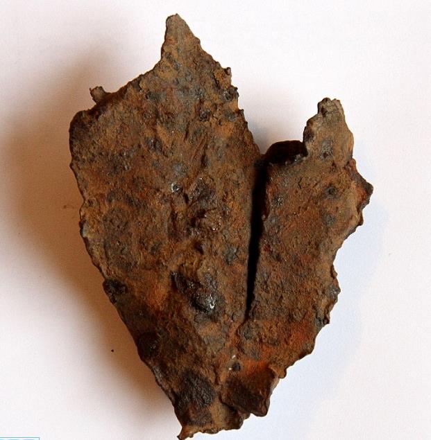 Whitecourt  Medium Octahedrite (IIIAB)..jpg