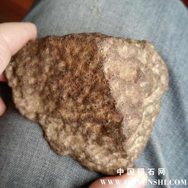 martian168g.jpg