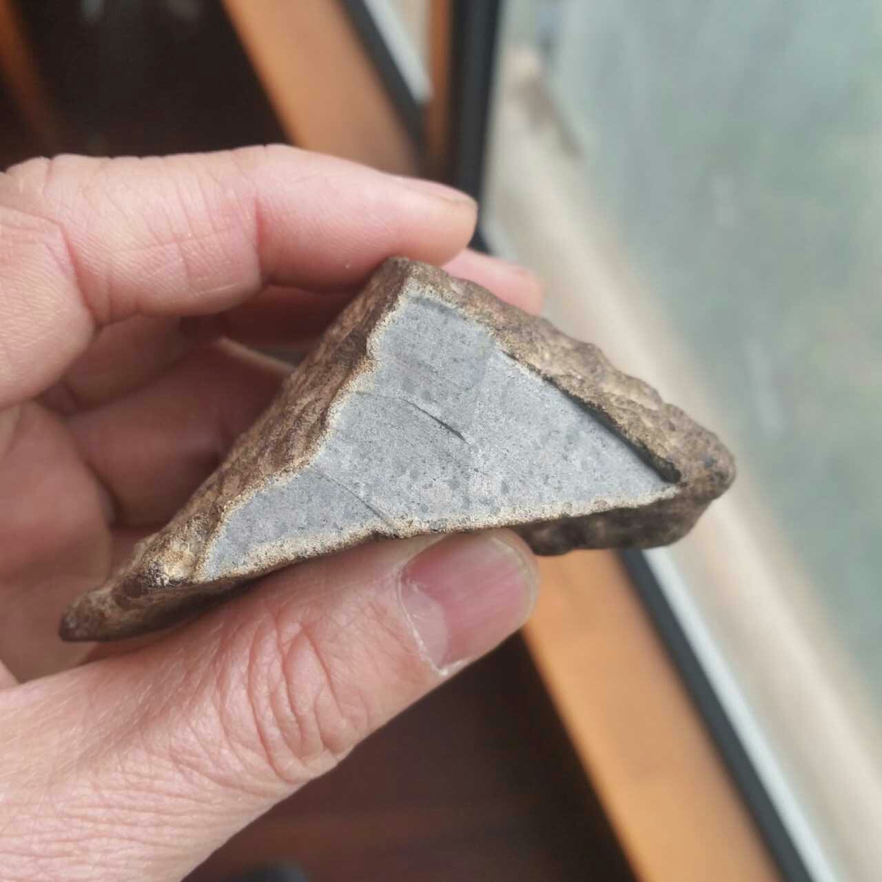 martian168g_cut.jpg