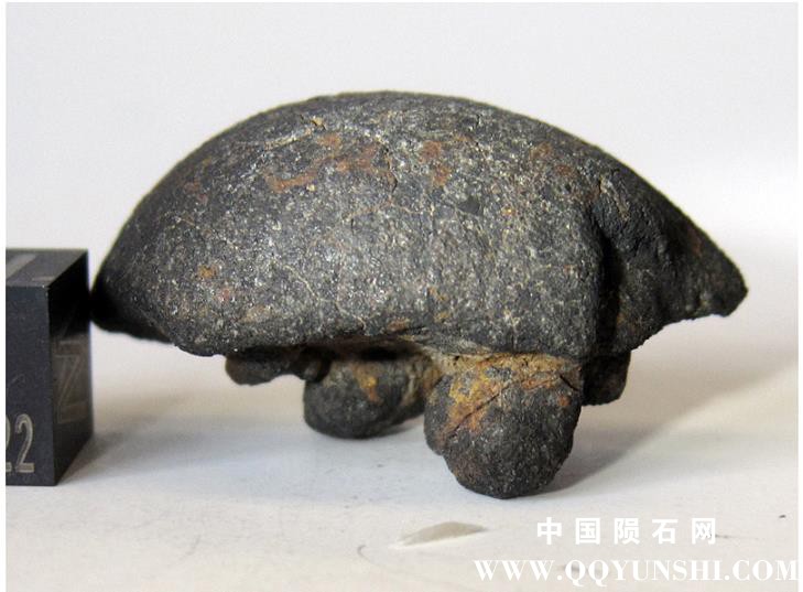Gao Guenie.jpg