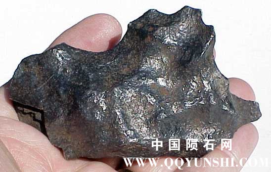 gibeon361-5b.JPG