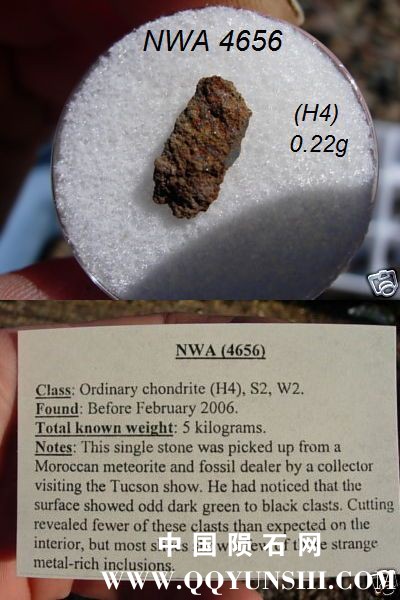 nwa4656.jpg