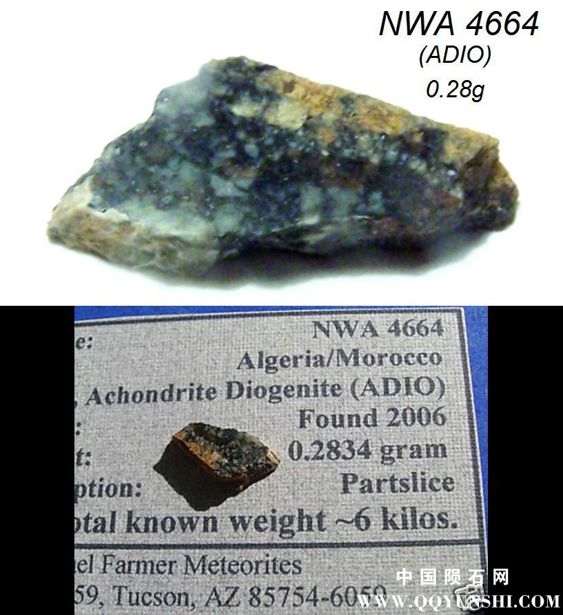 nwa4664.jpg