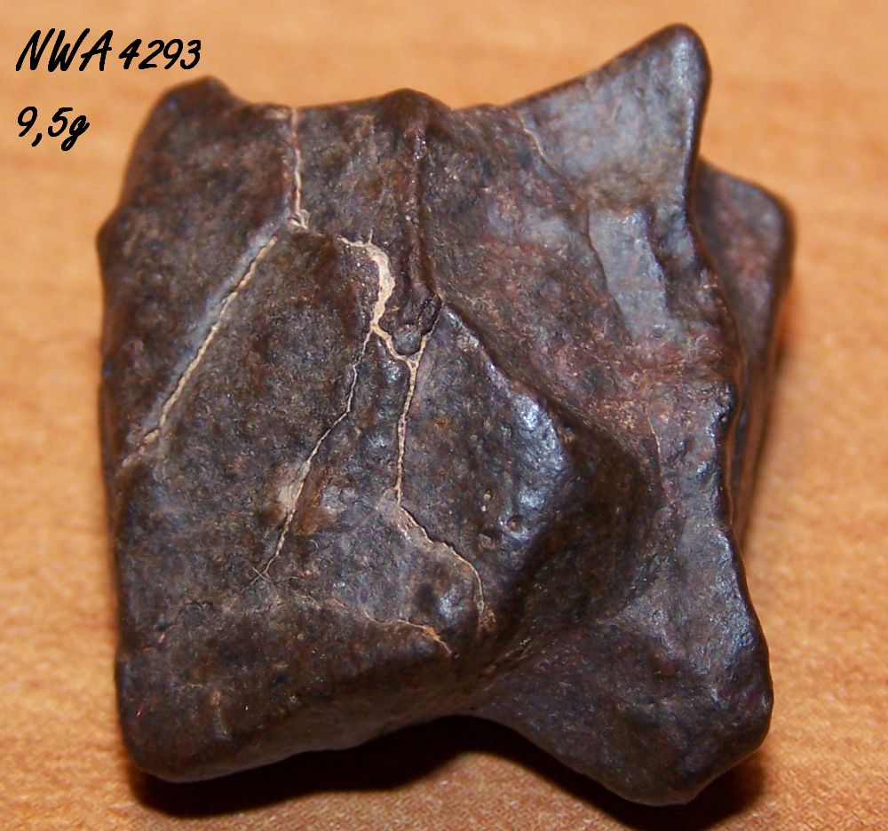 nwa4293.jpg