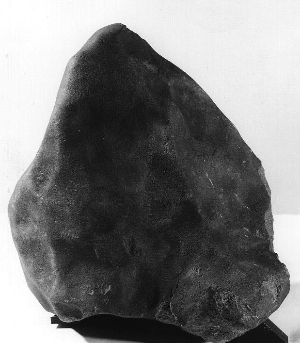 Tieschitz (H  L3.6).jpg
