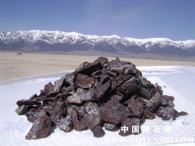 52641_25906_3095.jpg