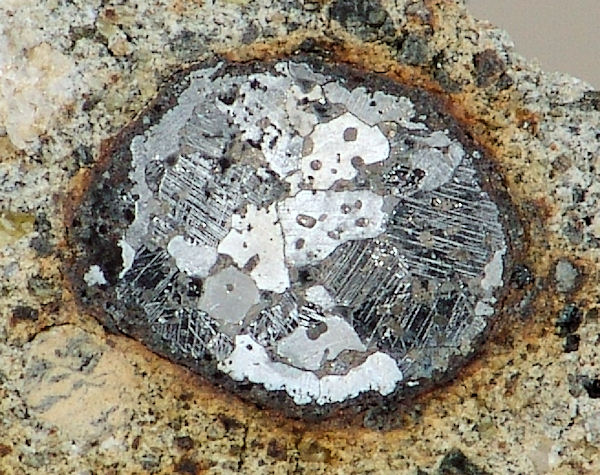 NWA6267.jpg