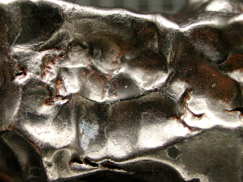 SikhoteAlin_cs_301_0g_0296.jpg