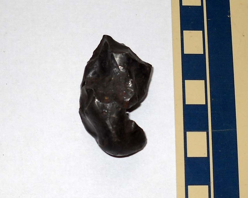 Sikhote-Alin_cs_59_93g_1.jpg