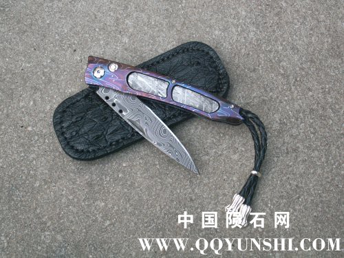 8050n[1]黑色鸵鸟皮革.jpg