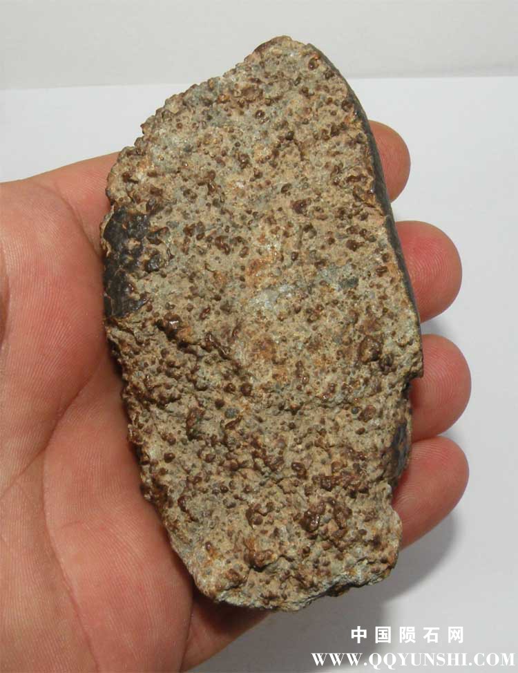 16 Abdellah NWA i.jpg