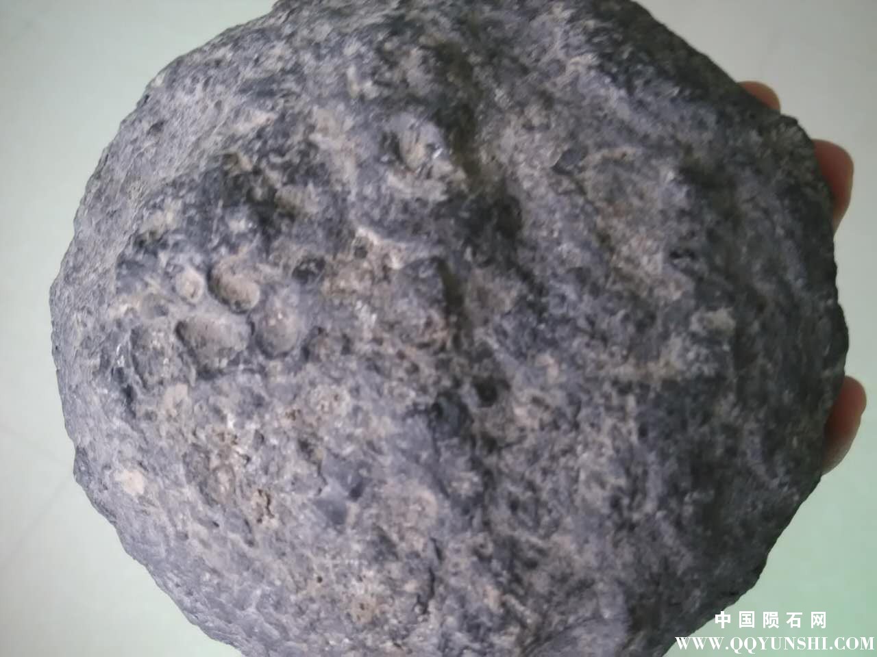 403629653485496666.jpg