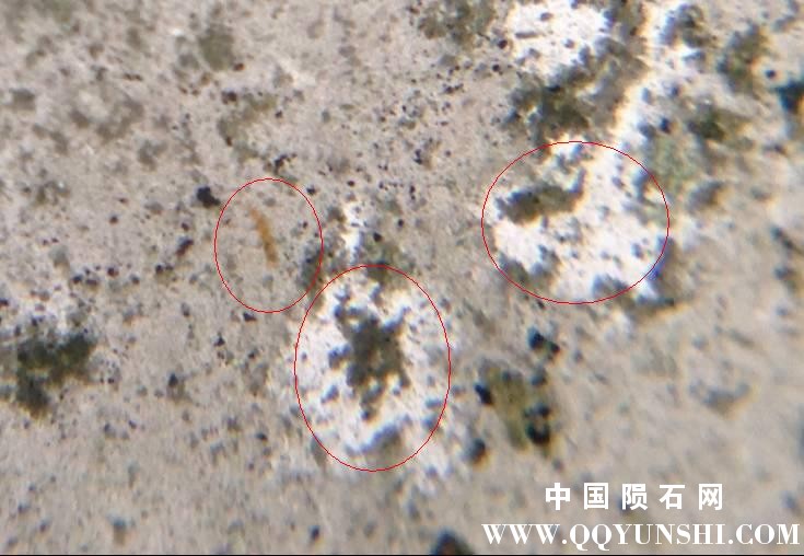 QQ截图20150211152711.jpg
