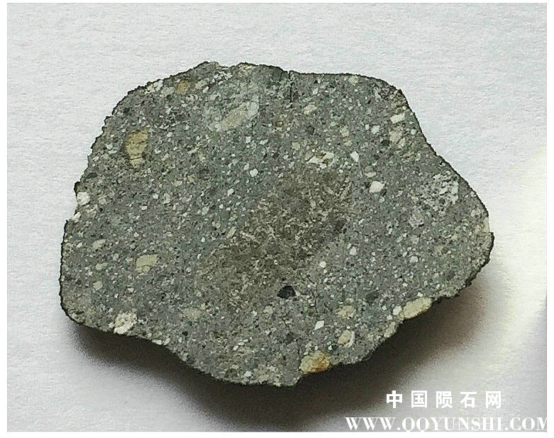 gaoayarlsf (1).jpg