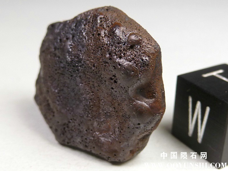 aiqpaqexin0057.jpg