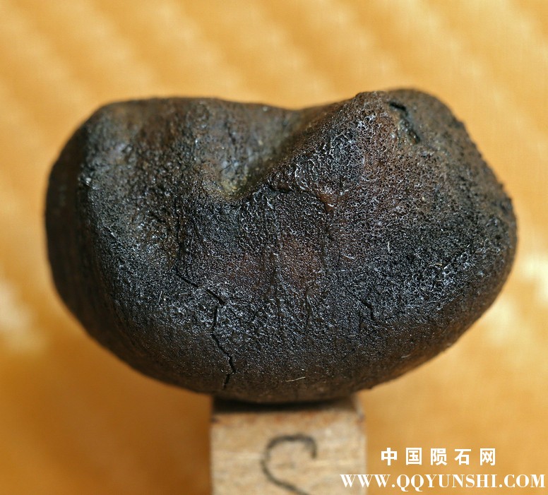 aiqpaqexin0083.jpg