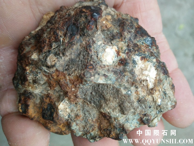 IMG20160121164626.jpg