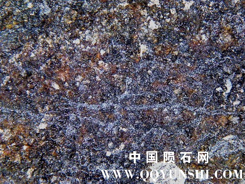 图片 010.jpg