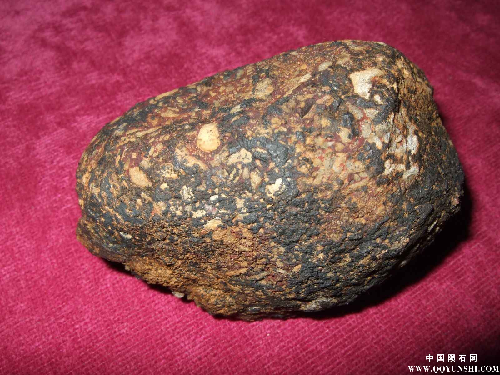 DSCF7942.jpg