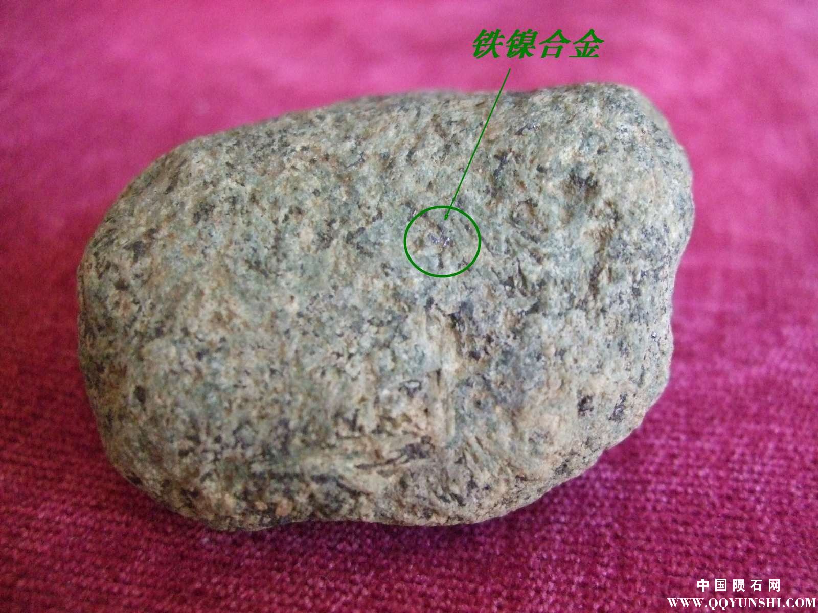 DSCF6811-2.jpg