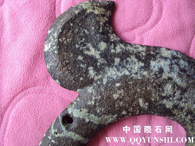 照片 209.jpg