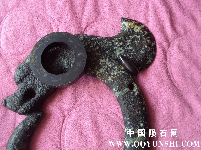 照片 215.jpg