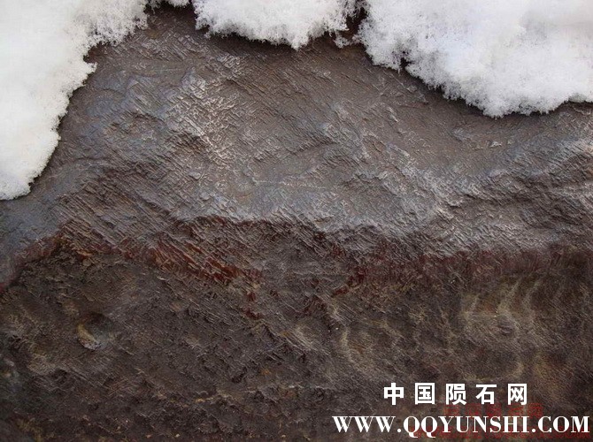 这是什么，什么纹？？？
