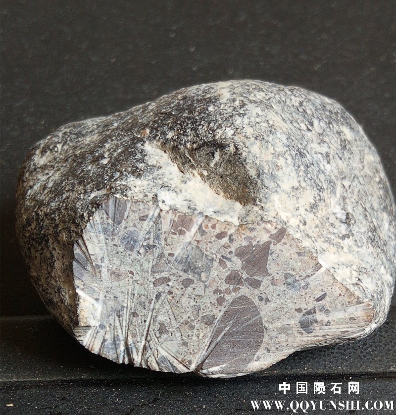 QQ图片20160626143243_副本.jpg