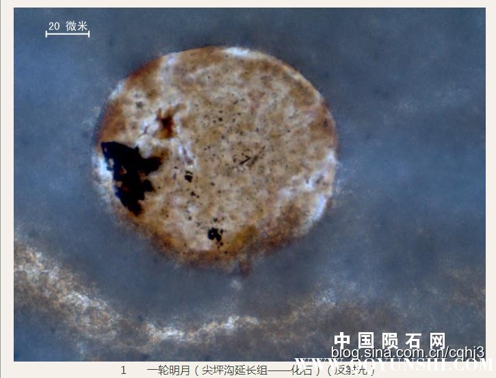 360截图20160930145358542.jpg