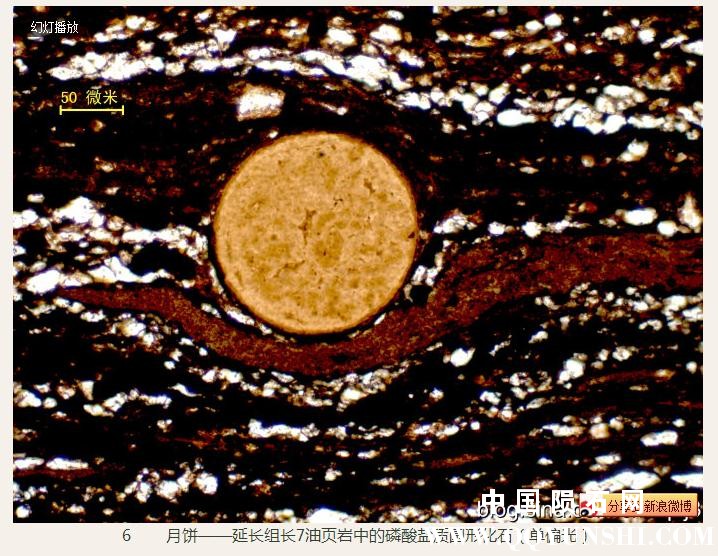 360截图20160930145559597.jpg