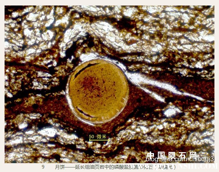 360截图20160930145820637.jpg