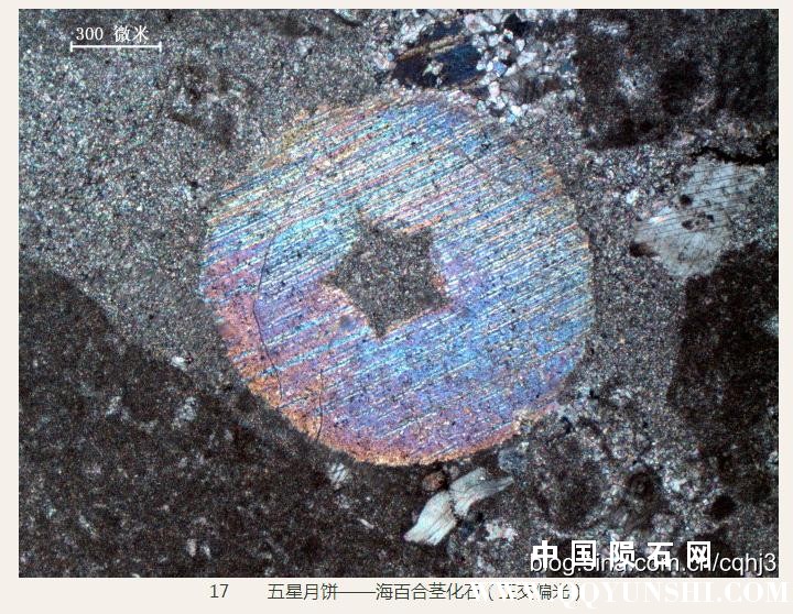 360截图20160930150131987.jpg