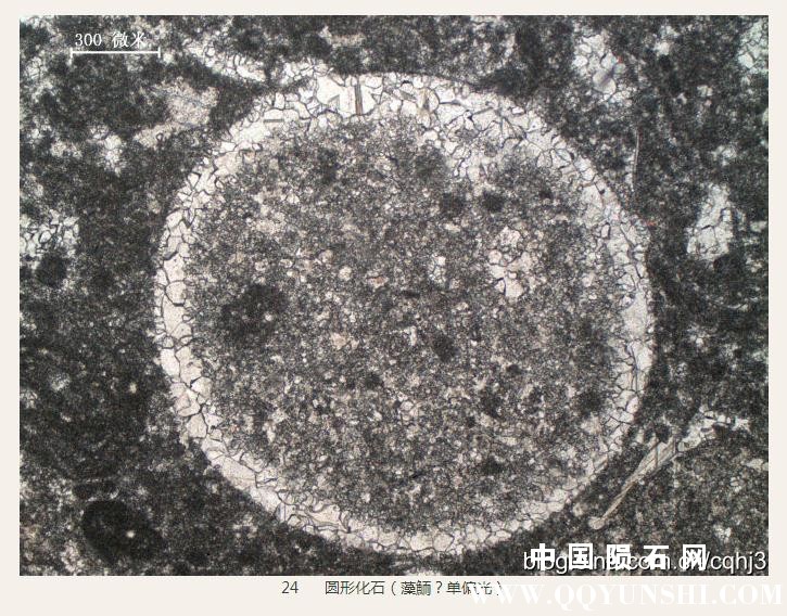 360截图20160930150343508.jpg