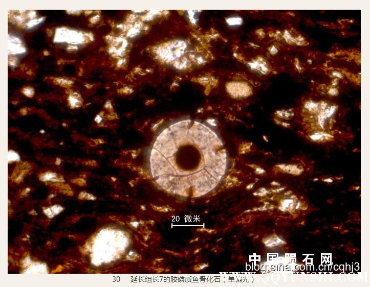 360截图20160930150516332.jpg