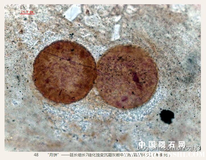 360截图20160930150957228.jpg